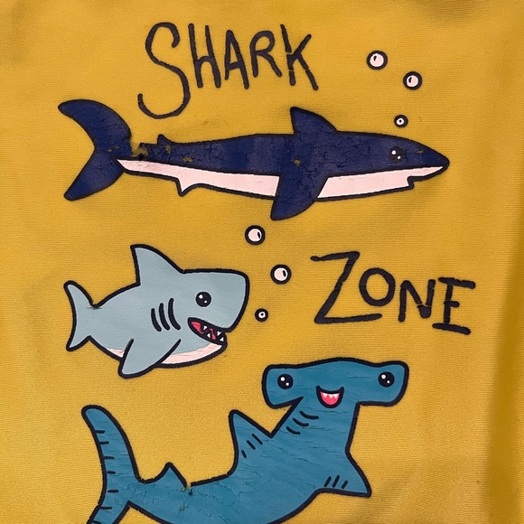 Well loved swim suit for boys 2T - Picture 4 of 4